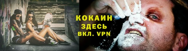 сатива Михайловск