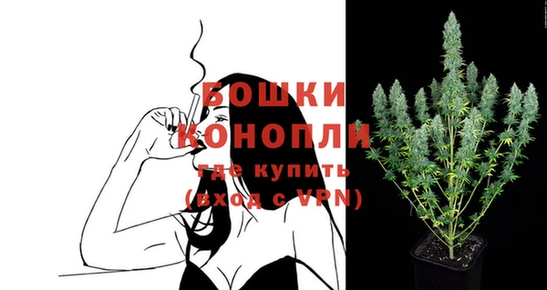 сатива Михайловск
