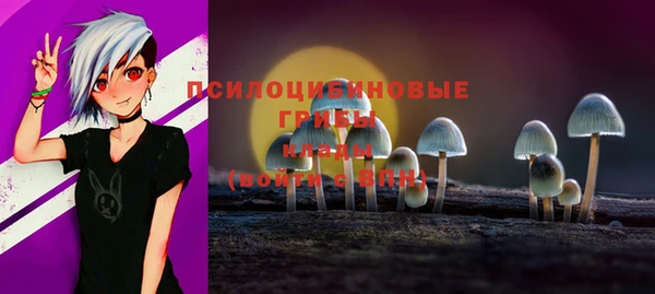 спиды Михайлов