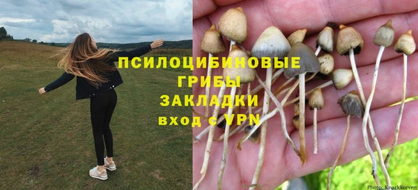 винт Аркадак