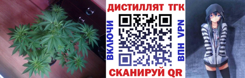 ТГК Wax  Билибино 